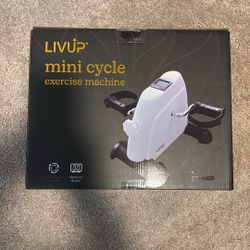 Livup Mini Cycle Exercise Machine