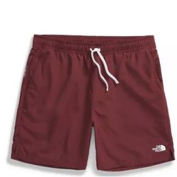 The Northface Men’s Shorts