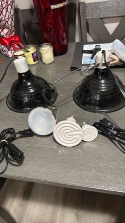 Reptile lights Reptile lights