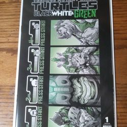Teenage Mutant Ninja Turtles Black White And Green 1