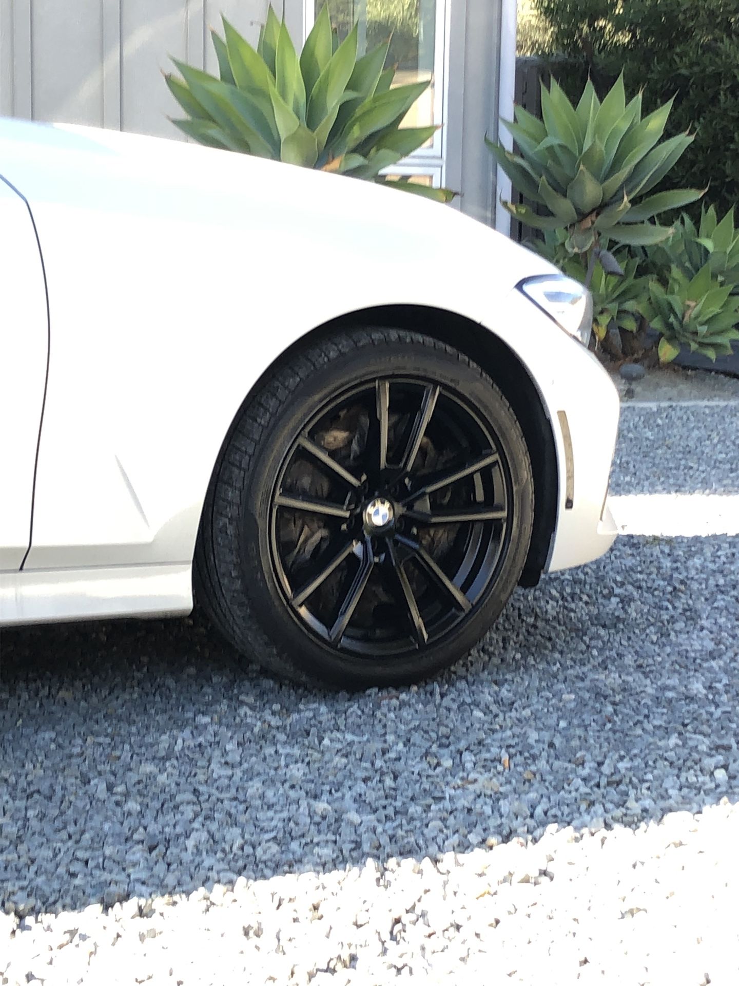 Calipers And Wheels Paint