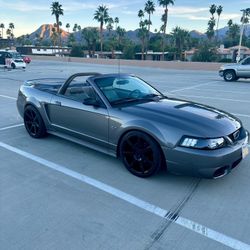 2000 Ford Mustang