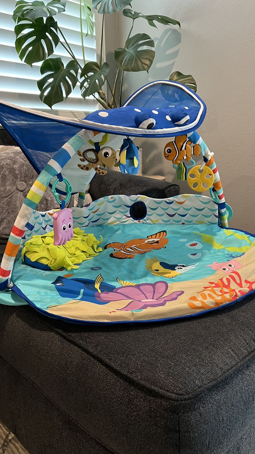 Finding Nemo Play Gym