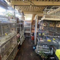 Cages