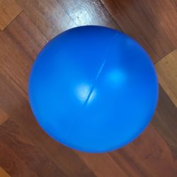 Herding Ball for Dogs, 10-inch