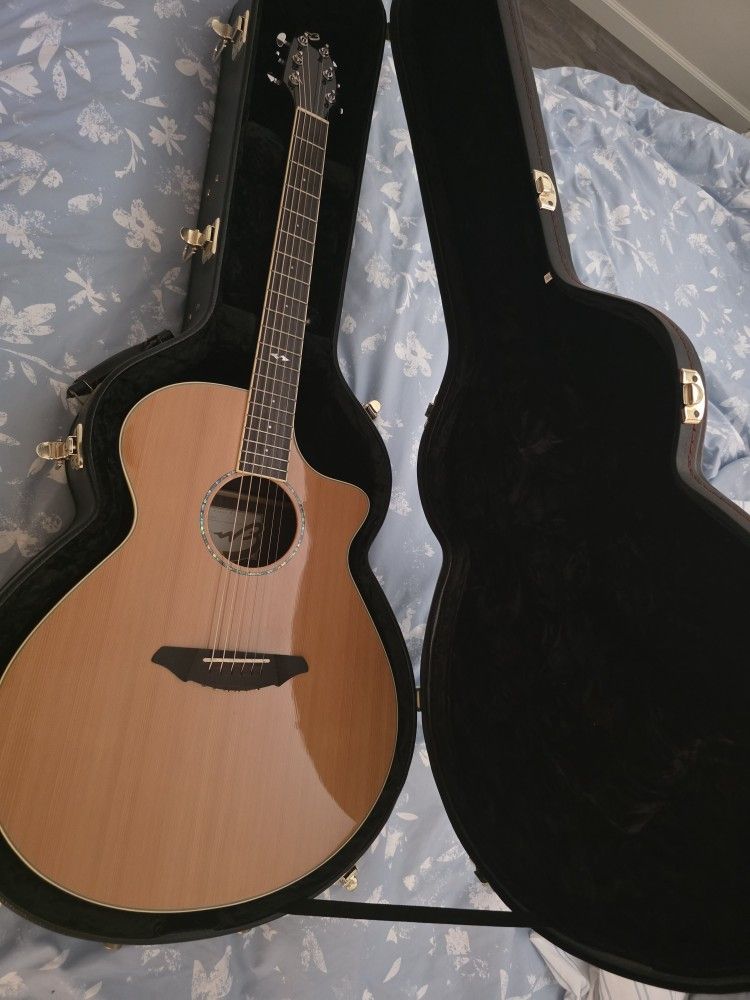 Breedlove Guitar