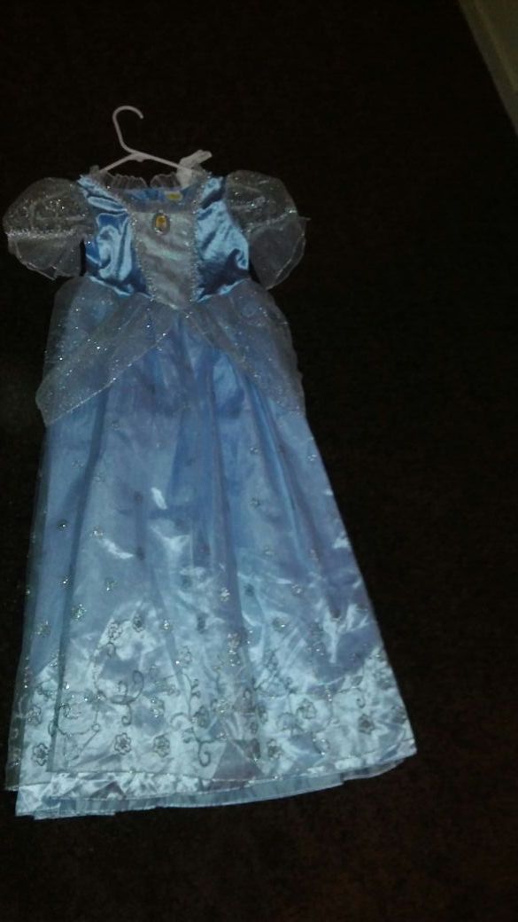 Cinderella costume