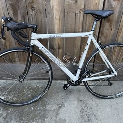 Fens Windsor Road bicycle Large Men’s