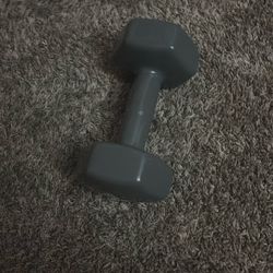2 20lbs Weight Dumbbell Never Used 