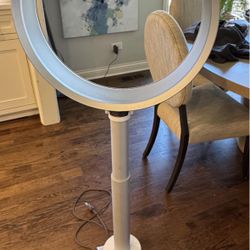 Dyson Pedestal Fan - paid $450 new 