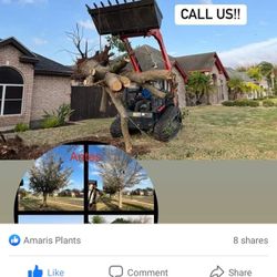 land clearing work is carried out and more things 