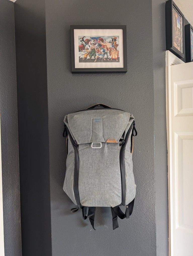 Peak Design 20L Bagpack 