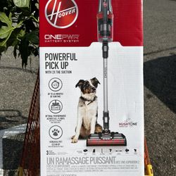 Hoover One Pwr