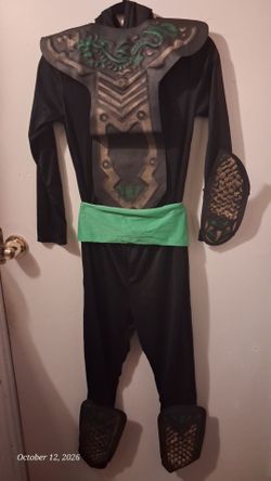 Ninja costume