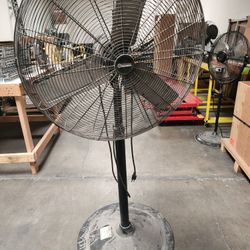 Pedestal Fan