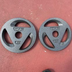 Olympic 2inch Gym Plates 25.lbs X 2 NEW