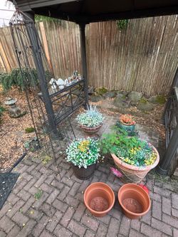 🌿 Garden Décor Bundle – Gazebo & Mushroom Decorations NOT Included – $150 🏡