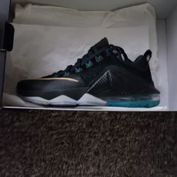 Lebron Lows The Twelve.