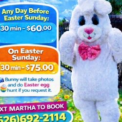 Hi we are doing Easter Bunny visits.