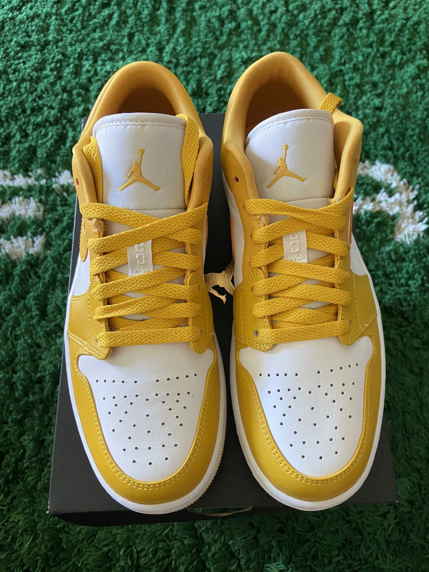 New DS Size 8.5 And 9.5 Jordan 1 Pollen Low