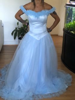 Quinceanera Dress/15's dress