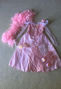 Disney sleeping beauty costume