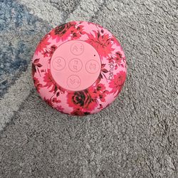 Shower speaker