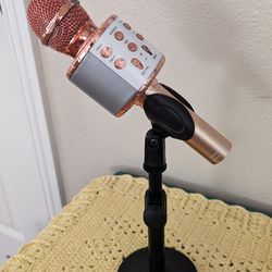 Microphone And Stand