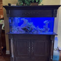 Custom 50 Gallon Salt, Water Reef Aquarium – 15 Year Mature Ecosystem With Handcrafted Mahogany Cabinetry – $2000