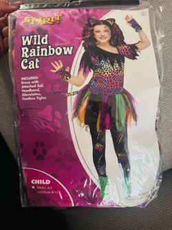 Wild Rainbow Cat Costume