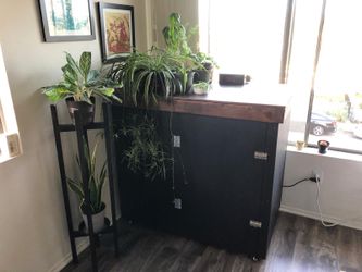 *PRICE LOWERED* Homebrewing Beer Fermentation Chamber, optional Full Set of Homebrewing Equipment