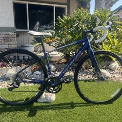 Specialized Dolce Road Bike