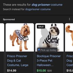 Pet Costume 