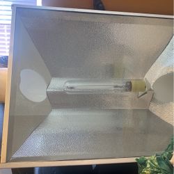 Huge Grow Light 