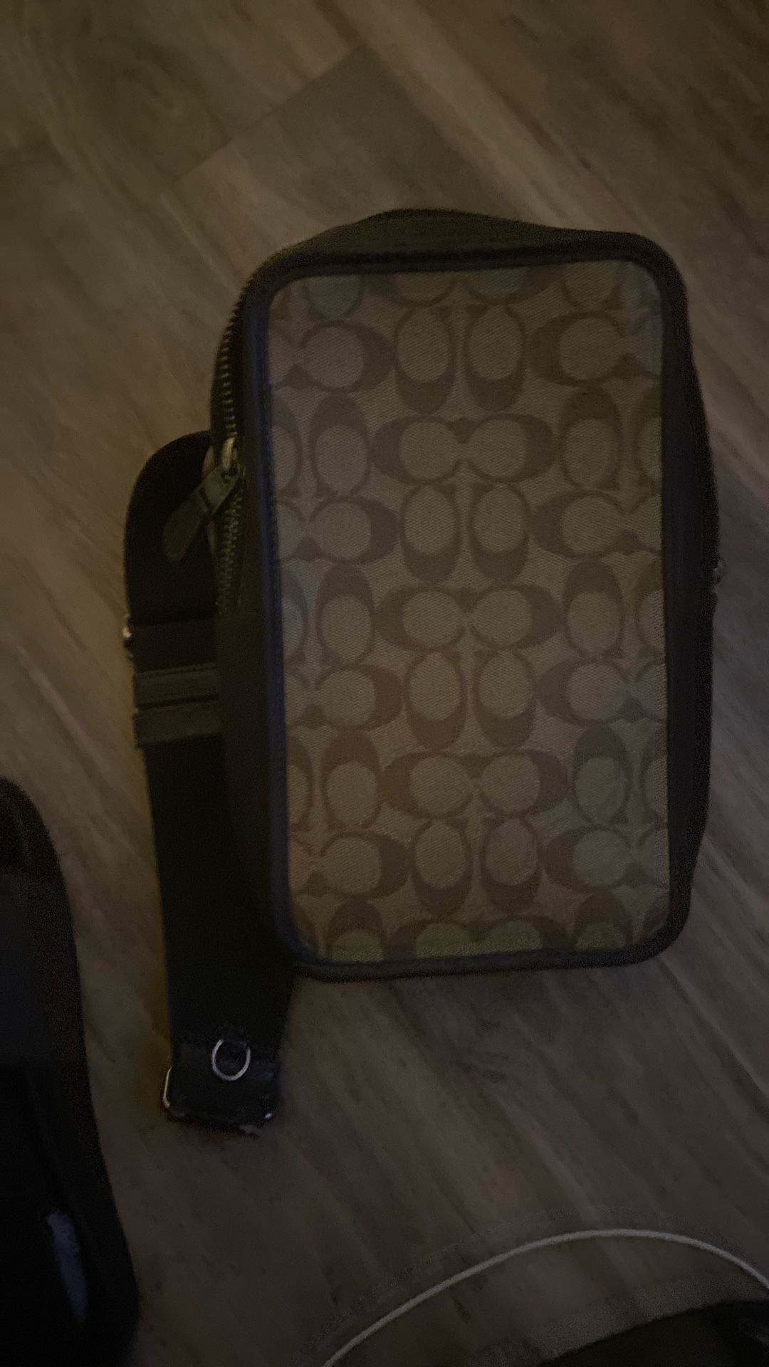 Coach Side Bag