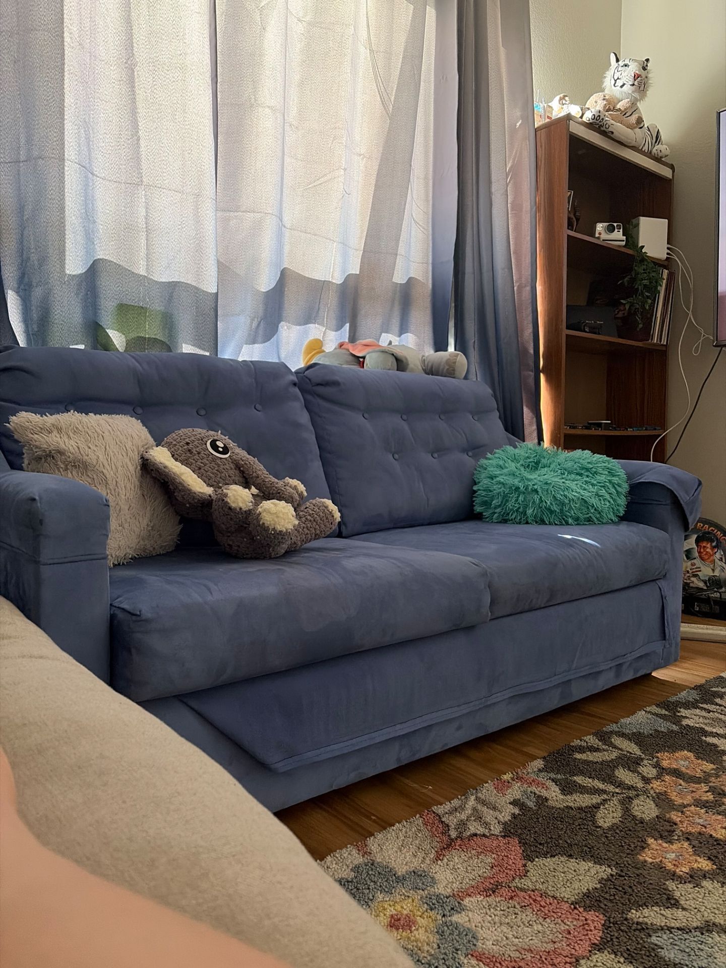 Blue Hide-a-bed