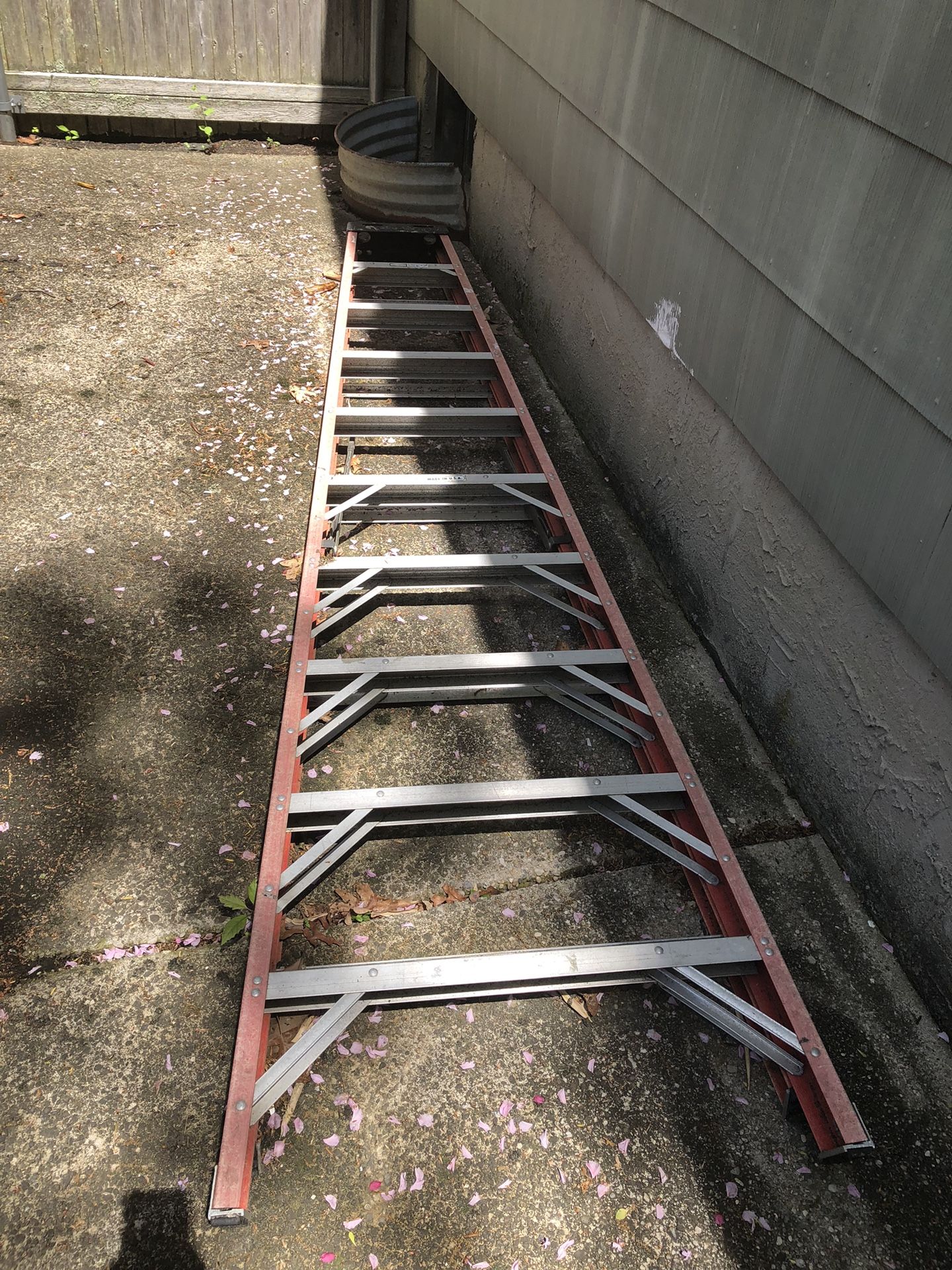 Ladder Werner 10 Ft