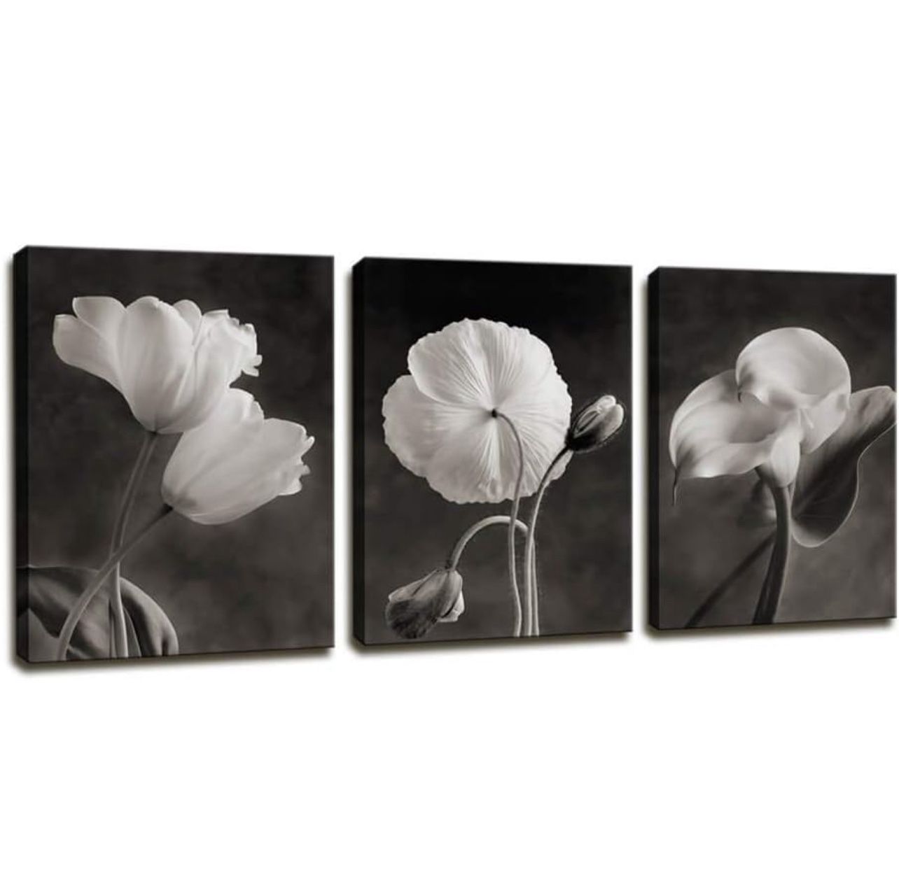 Canvas Wall Art Contemporary Life White Flower Lily Painting Decor - 3 Pcs 12x16