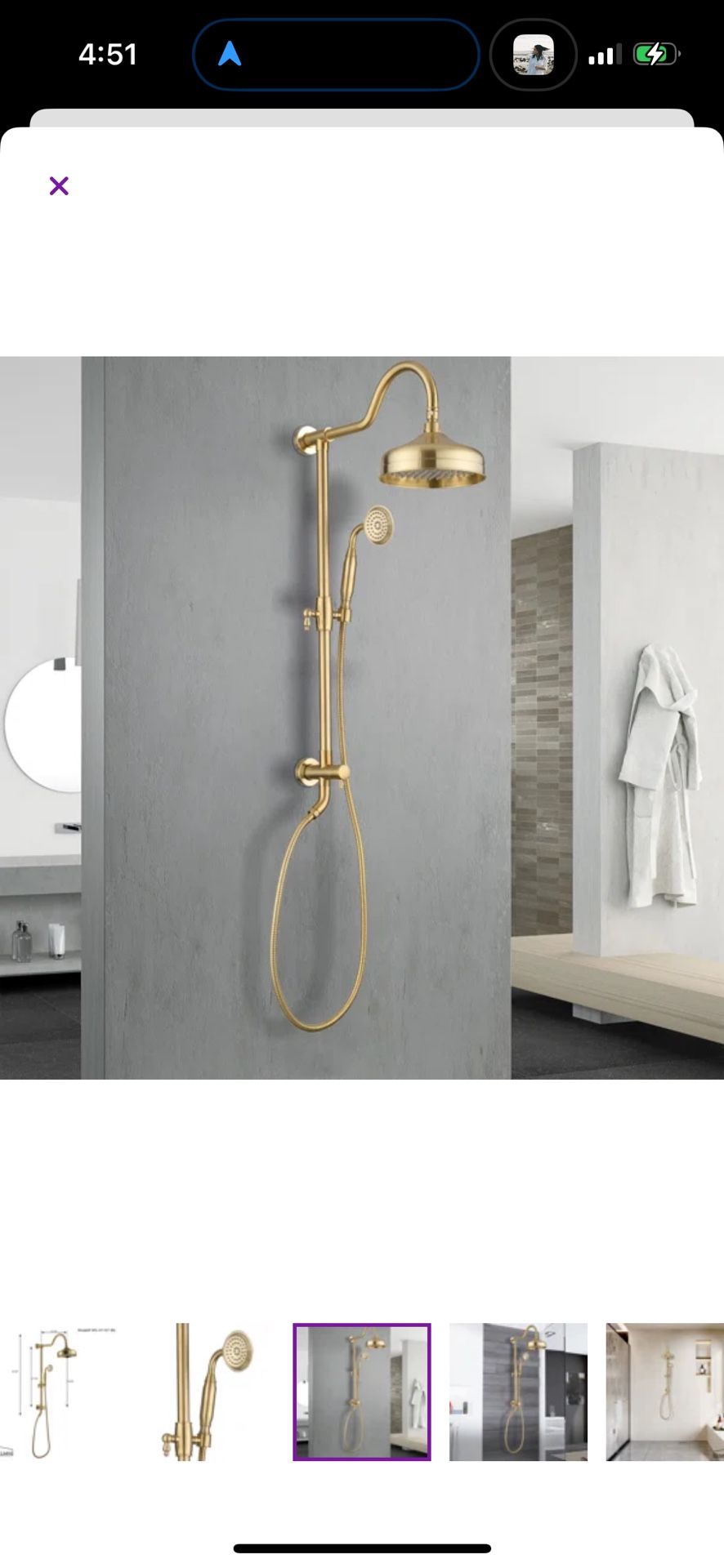 Gold Shower System