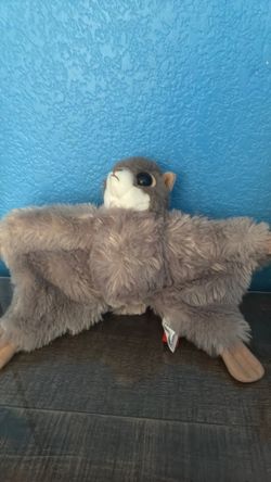 Flying squirrel