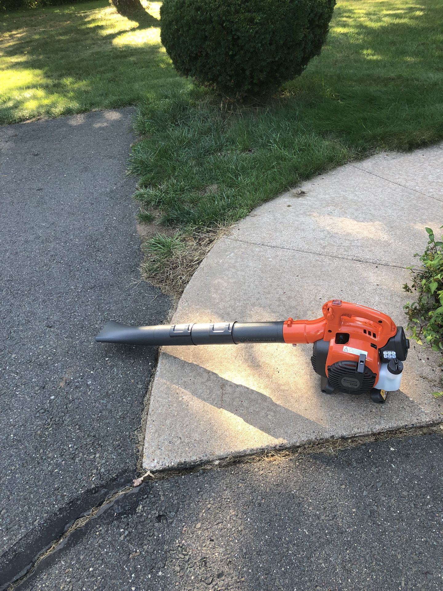 Leaf blower