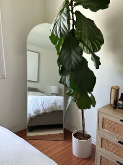 Modern Full Length Standing Mirror
