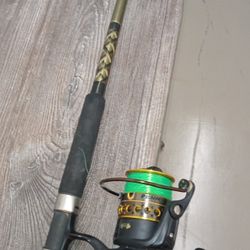 Penn Battle 2  6 000 With 6 Ft 6 Penn Slammer Rod
