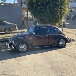 Classic 1967 VW Beetle