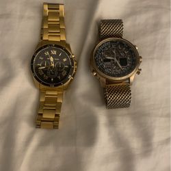 Michael Kors  And Citizens Watches