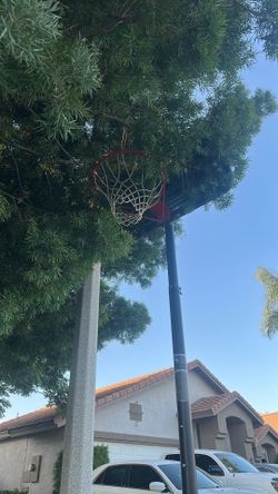 Basketball court
