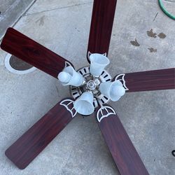 Ceiling Fan