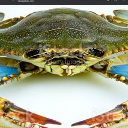 BLUE CRAB TRAP FOR SALE $30 PER DOZEN MIXED 