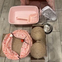 Kitten Supplies For Sale ($75 Package Deal)