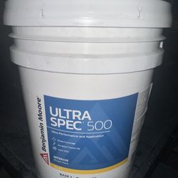 Benjamin Moore Flat Paint